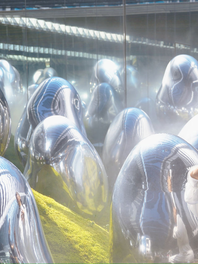 體驗「人與展區」無界線》豐洲teamlab!