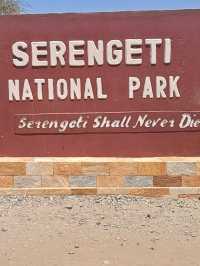 🦁 Explore Serengeti National Park, Tanzania – A Safari Like No Other! 🌿🐾