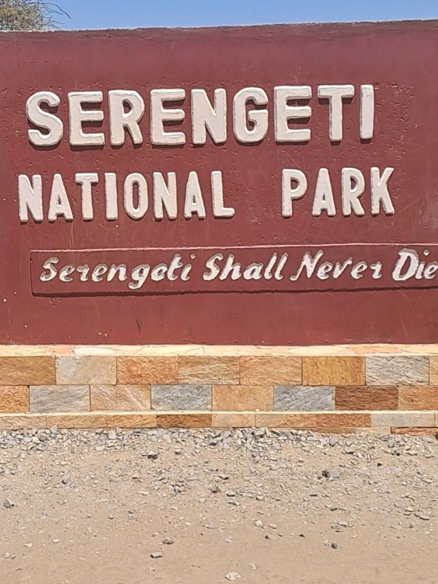 🦁 Explore Serengeti National Park, Tanzania – A Safari Like No Other! 🌿🐾