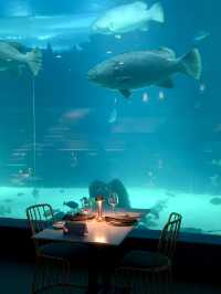 A Unique Dining Experience at Aquadining by Cebu Ocean Park
