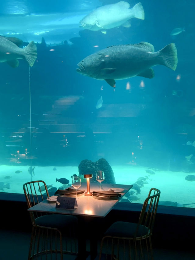 A Unique Dining Experience at Aquadining by Cebu Ocean Park