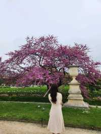 파리 뛸르히 정원💓