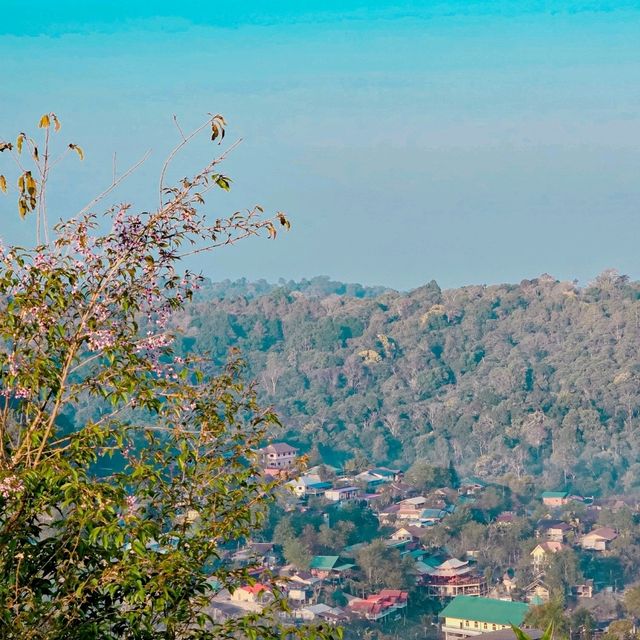 ฮีลใจที่ไร่ลมหนาว 📍ร่องกล้า พิษณุโลก