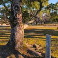 Fukuoka Castle Ruins