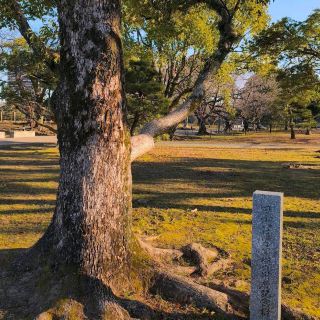 Fukuoka Castle Ruins