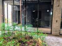 植光花園酒店，宛如廢墟斷垣裏、綠蕨滿室的設計旅店