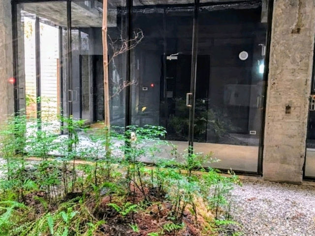 植光花園酒店，宛如廢墟斷垣裏、綠蕨滿室的設計旅店