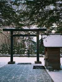 北海道札幌的冬日神社｜北海道神宮 ❄️⛩️