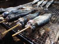【静岡・富士宮】富士養鱒場🎣