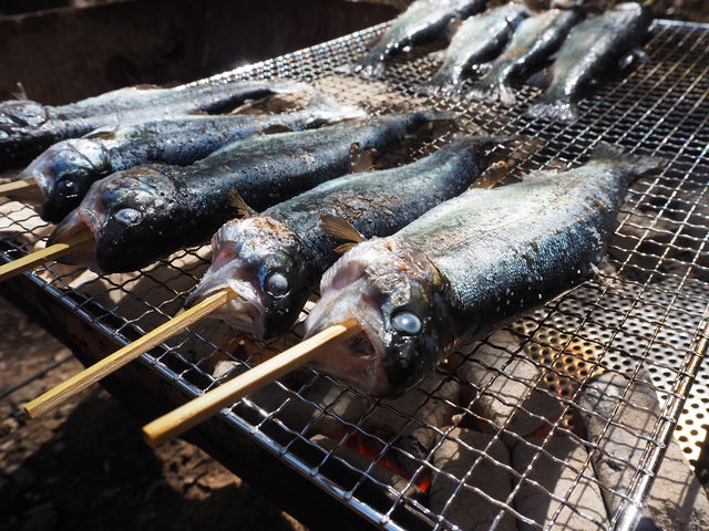 【静岡・富士宮】富士養鱒場🎣