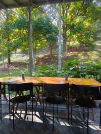 A Hidden Glasshouse Café in Malaysia