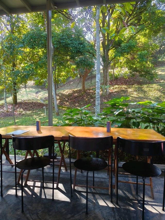 A Hidden Glasshouse Café in Malaysia
