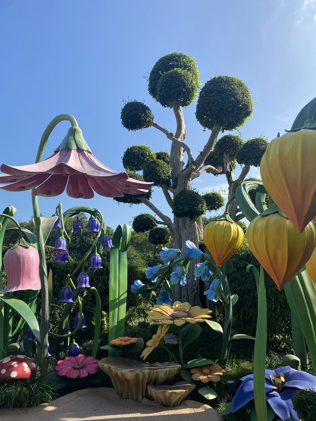 香港迪士尼樂園，進來了就不想出去了🏰✨