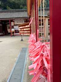 Dazaifu Tenmangu Shrine (太宰府天満宮