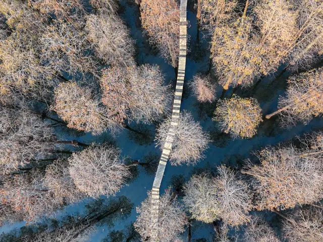 Luyang Lake Wetland Park: A Hidden Gem in Yangzhou
