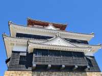 お城🤍【清洲城】