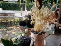 ก๋วยเตี๋ยวบุฟเฟต์หลังศาลหลักเมืองเเพร่