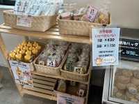 新鮮なジェラート🤍【みるく工房タンポポ 長坂牧場内工場・直売店】