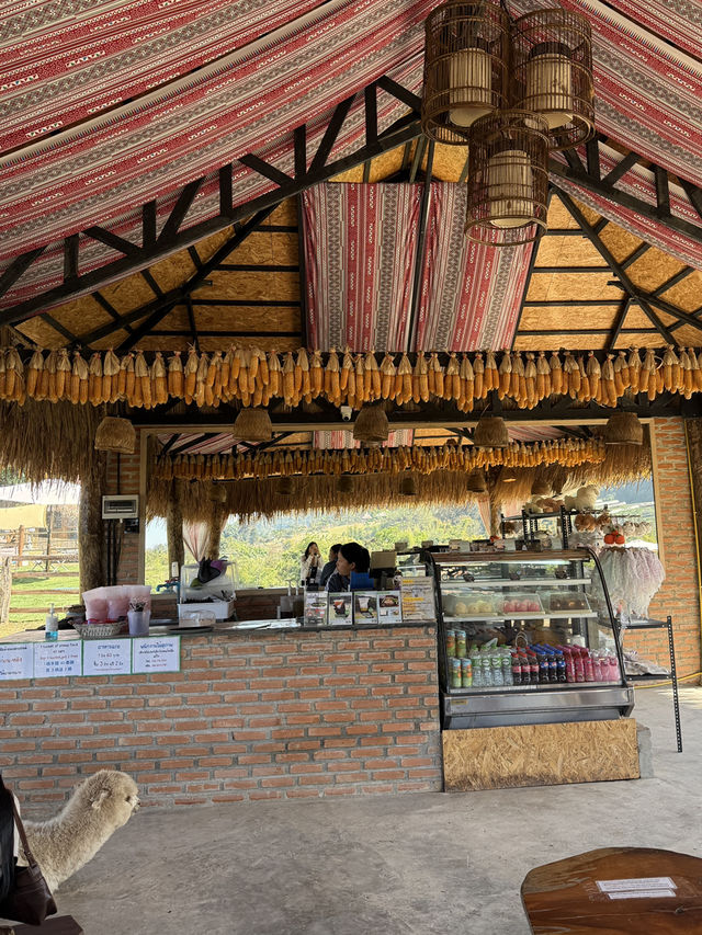บ้านแกะแม่ขิ