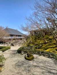 綺麗に整備された庭園が美しい