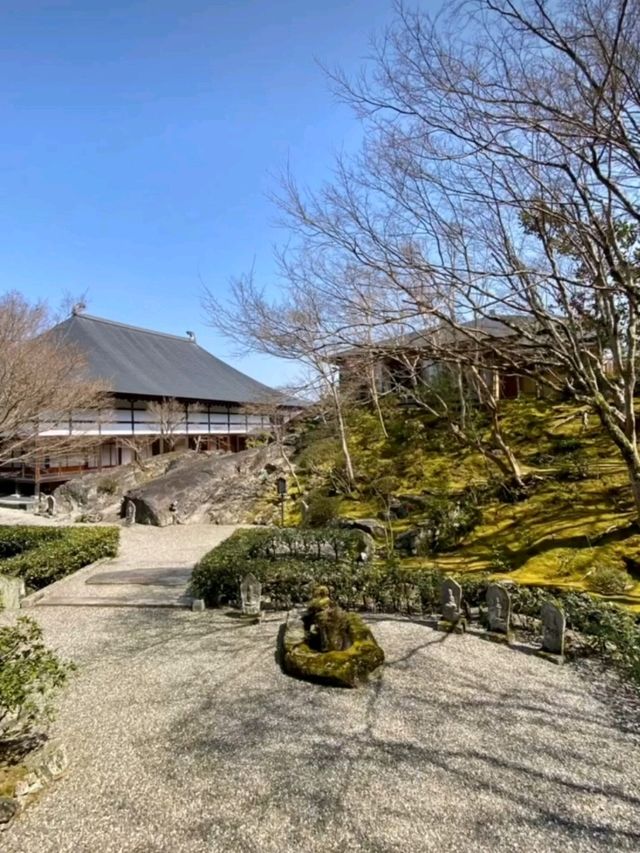綺麗に整備された庭園が美しい