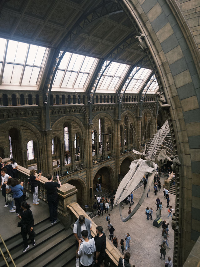 BritRail パス旅行攻略：イギリス鉄道旅をお得に楽しもう！