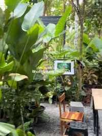 คาเฟ่กลางสวน บรรยากาศร่มรื่นที่ ในดงบอน คาเฟ่
