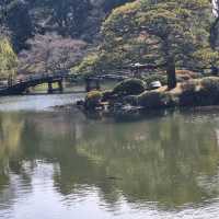 Shinjuku Gyoen National Garden, Tokyo