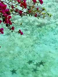 Kapalai: Peaceful Retreat in Paradise
