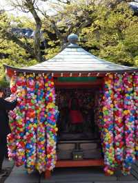 【京都×春旅】カラフルで人気のフォトスポット！