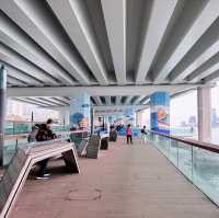 ## 香港新晉打卡地！東岸公園，解鎖維港絕美日落！🌅✨
