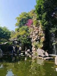 Qinghui Garden: A Timeless Oasis of Lingnan Elegance
