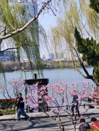 Exploring Xuanwu Lake Park in Nanjing 🌳🌸