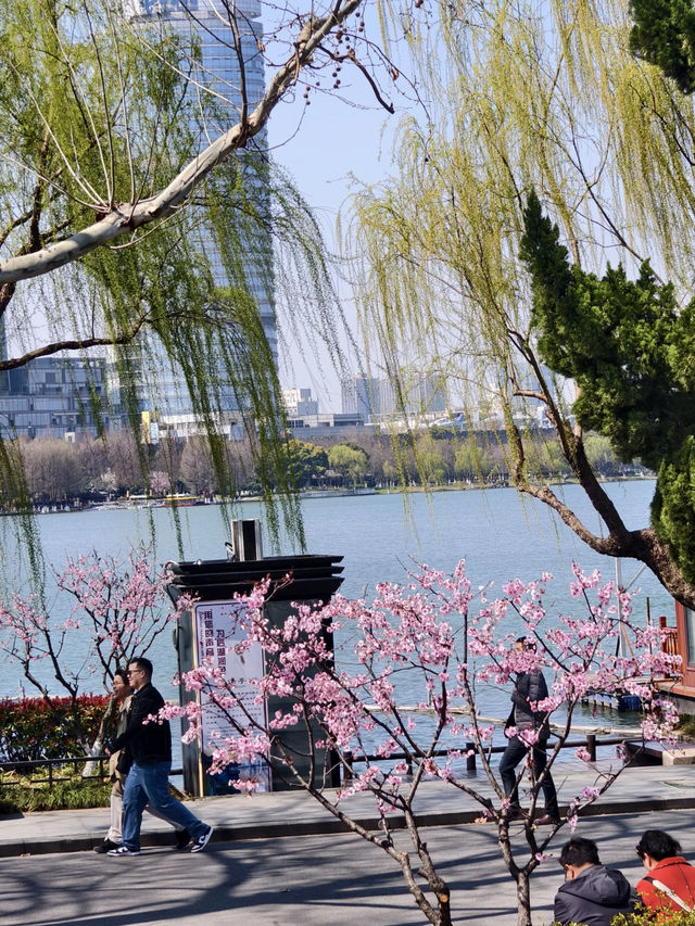 Exploring Xuanwu Lake Park in Nanjing 🌳🌸