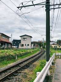 【日本山梨】新倉山淺間公園：步入秋天的畫卷