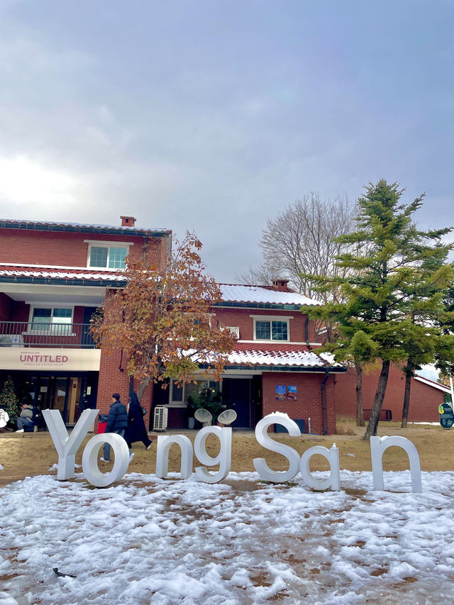 용산공원에서 봄데이트 즐겨보자!