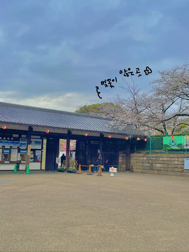 🏯 나고야성 – 나고야의 대표적인 관광지