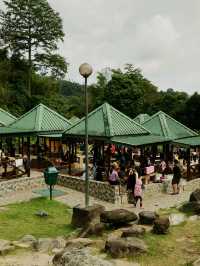 Soak, Splash & Stroll – A Nature Retreat at Poring Hot Spring!