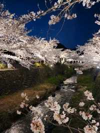 【山口グルメ】一の坂川・ラセーヌ