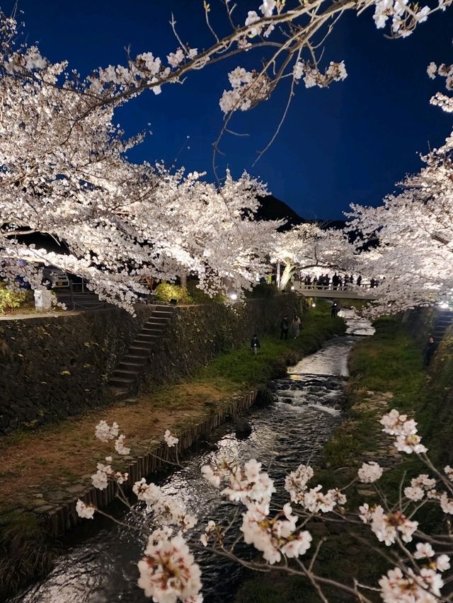 【山口グルメ】一の坂川・ラセーヌ