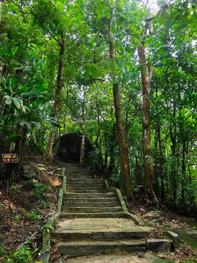 Wuzhishan 🌏 🌱 