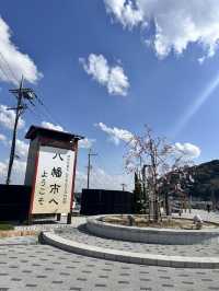 【京都】石清水八幡宮駅から行ける桜祭りは必見！