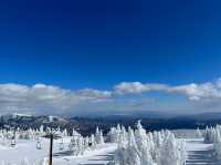 絶景と雲海の中を滑る！横手山スキー場で天空スキー体験🏔️☁️🎿