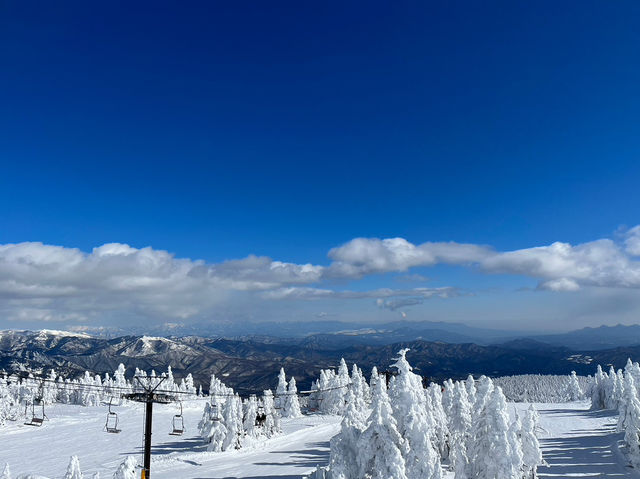 絶景と雲海の中を滑る！横手山スキー場で天空スキー体験🏔️☁️🎿