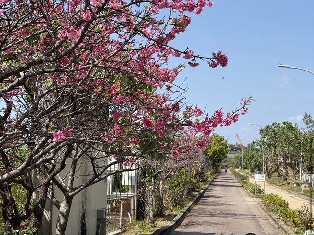 漫湖公園（那霸市）