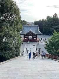 鶴岡八幡宮で感じる鎌倉の歴史と神聖な空気⛩️