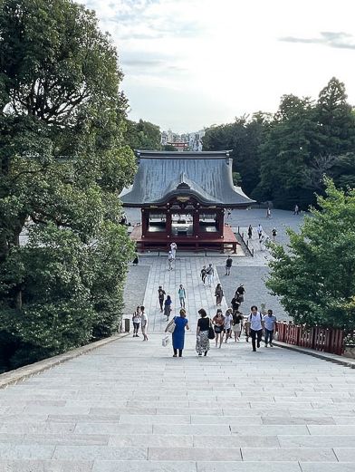 鶴岡八幡宮で感じる鎌倉の歴史と神聖な空気⛩️