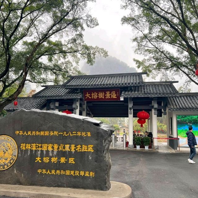 Exploring Guilin: Malinggu Village and Darongshu Scenic Area