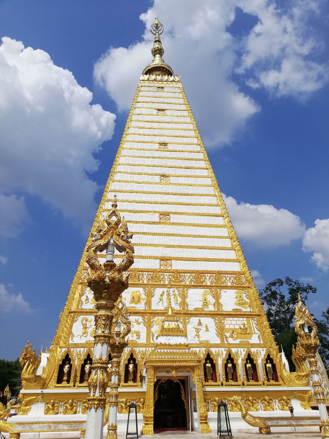 วัดพระธาตุหนองบัว