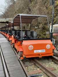 From Palaces to Alpacas: A Whirlwind Seoul Adventure